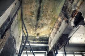 Best Comprehensive Air Testing for Mold Contaminants in USA